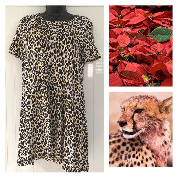 Zara Dresses & Skirts - Zara Leopard Print Tunic Dress